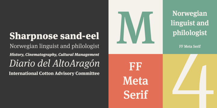 Ejemplo de fuente Meta Serif Pro #1