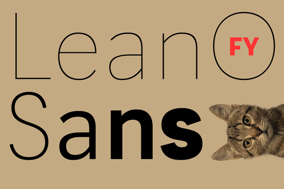 Ejemplo de fuente Lean O FY #1