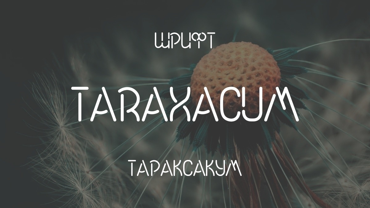 Ejemplo de fuente Taraxacum #1