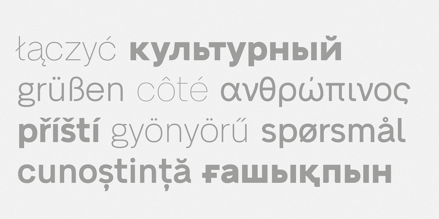 Ejemplo de fuente Neue Alte Grotesk #8