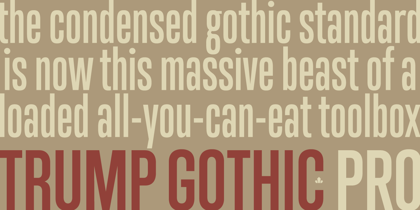 Ejemplo de fuente Trump Gothic Pro #3