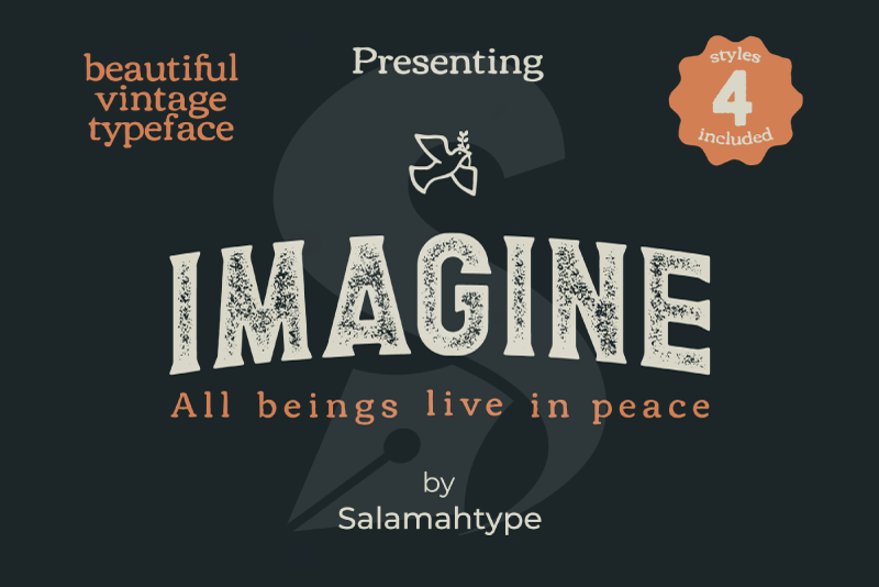 Ejemplo de fuente Imagine Serif #1