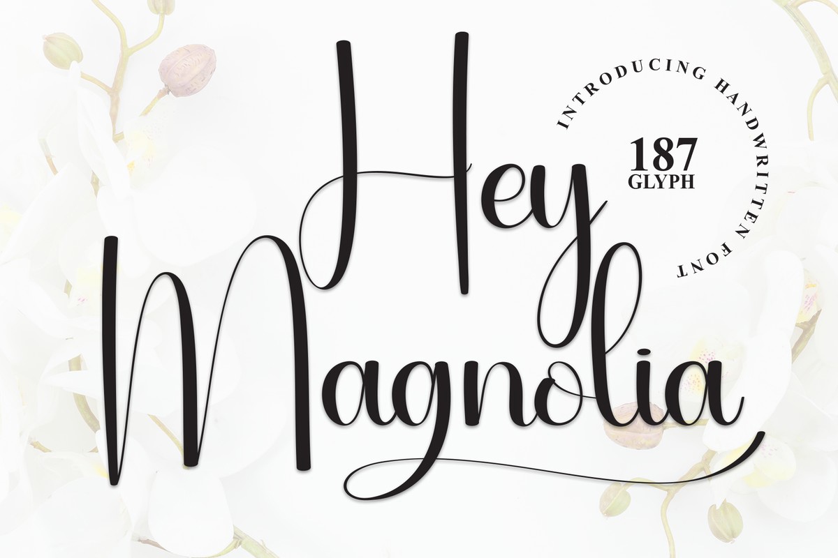 Ejemplo de fuente Hey Magnolia #1