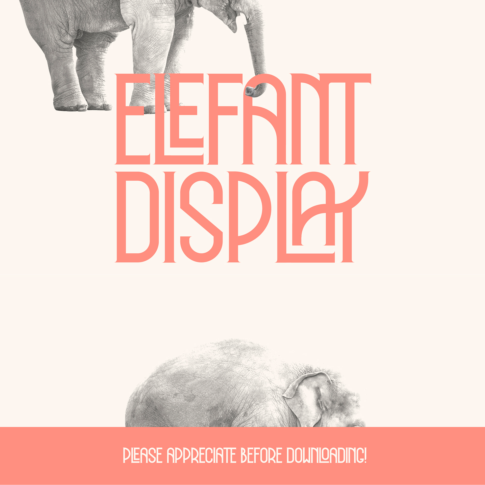 Fuente Elefant Display