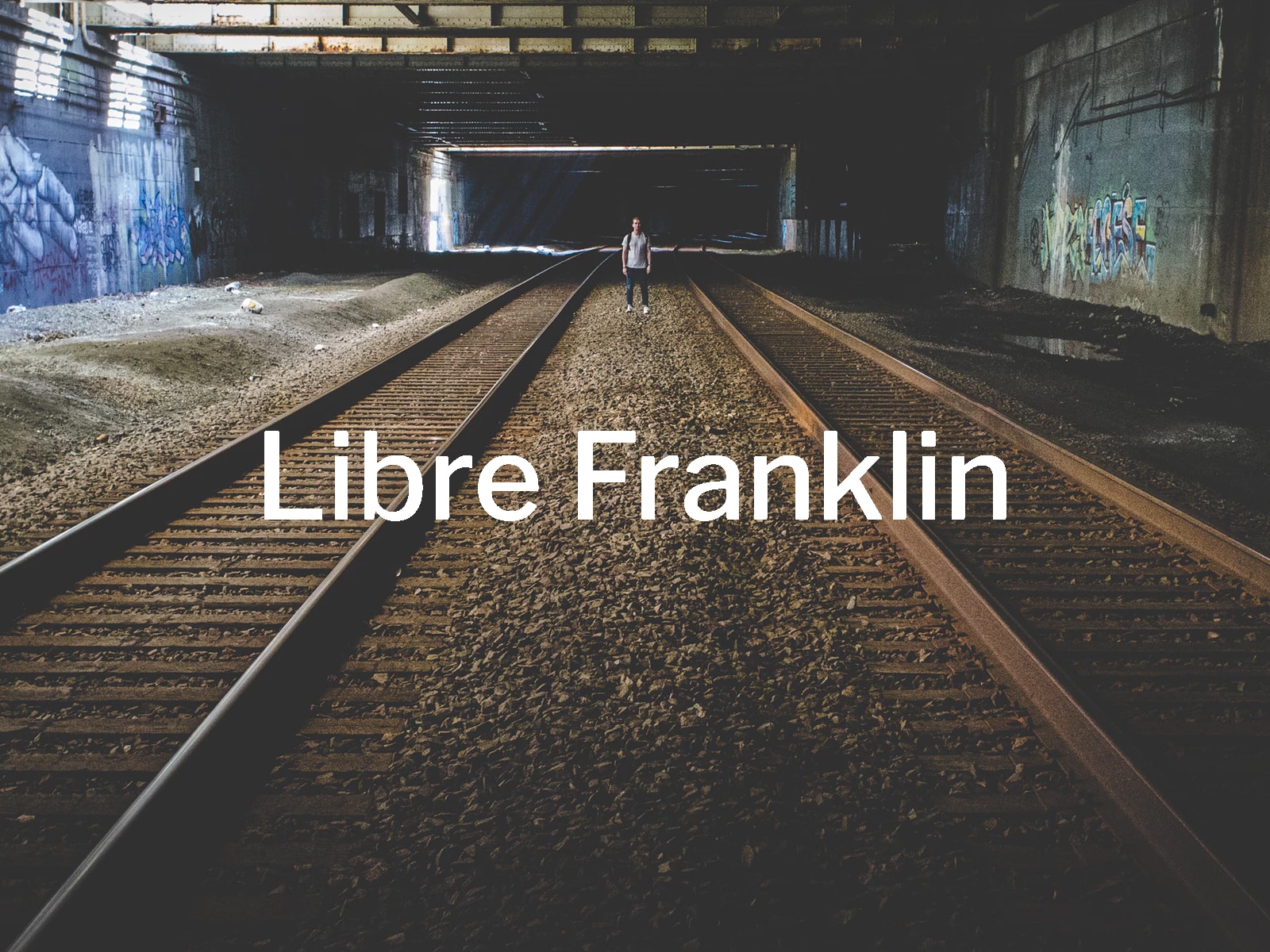 Fuente Libre Franklin