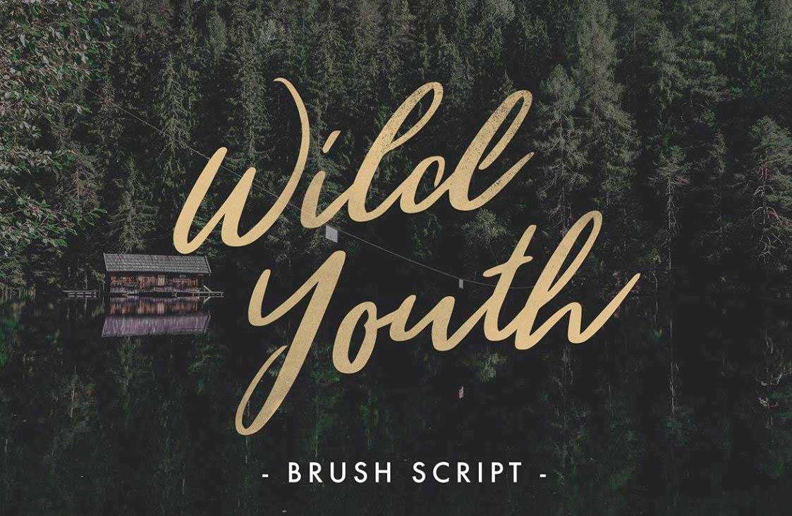 Fuente Wild Youth