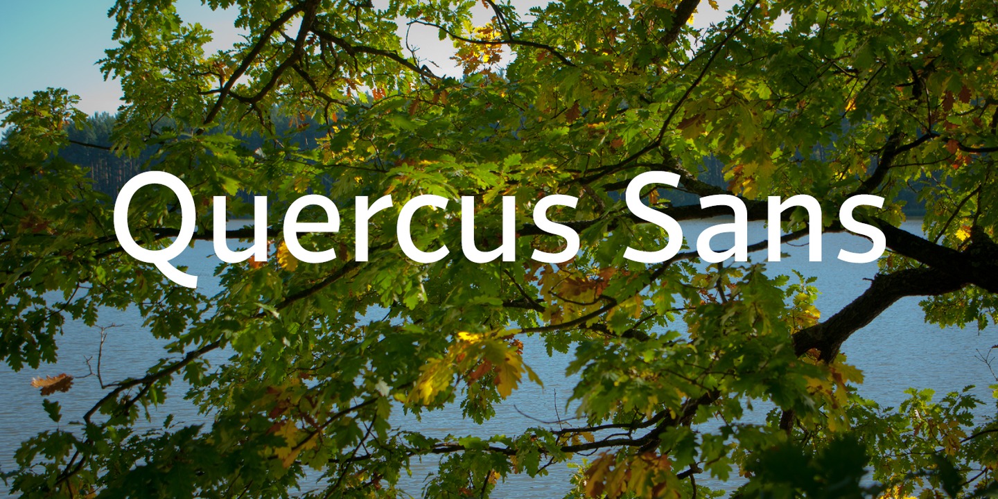 Fuente Quercus Sans