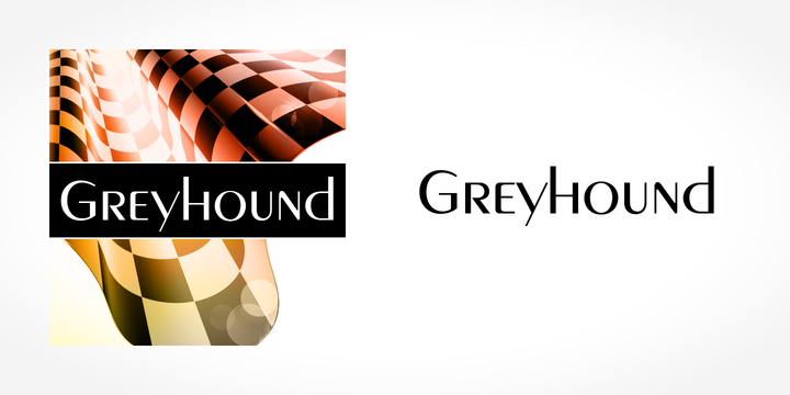 Fuente Greyhound