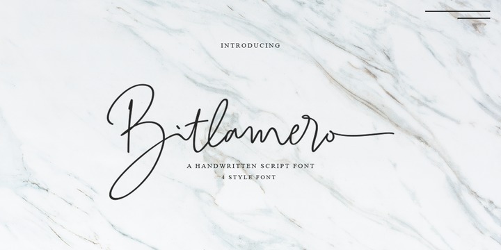 Fuente Bitlamero Script