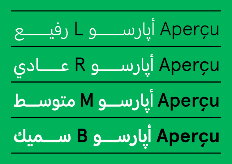 Fuente Apercu Arabic Pro