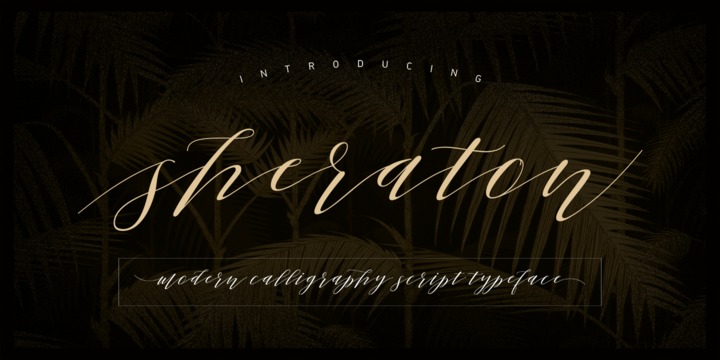 Fuente Sheraton Script