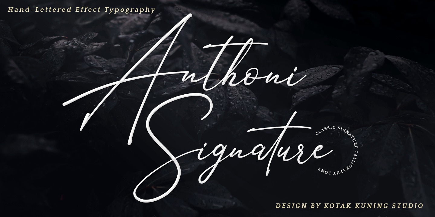 Fuente Anthoni Signature