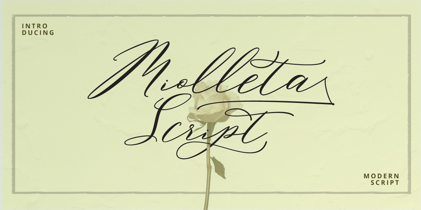 Fuente Miolleta Script