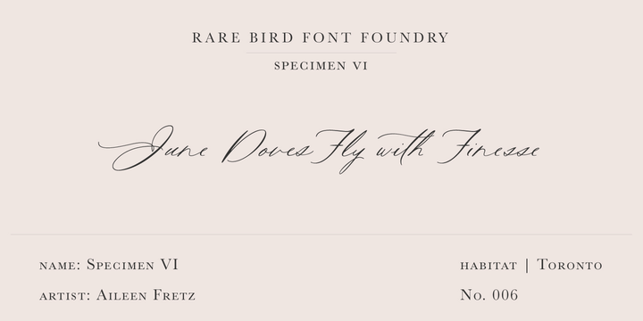 Fuente Rare Bird Specimen VI