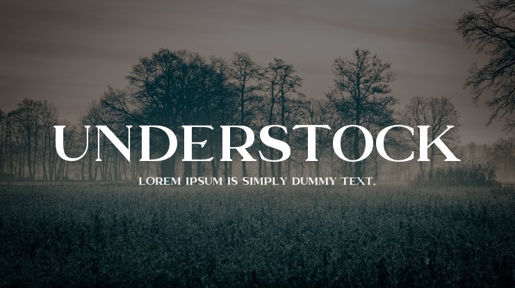 Fuente Understock