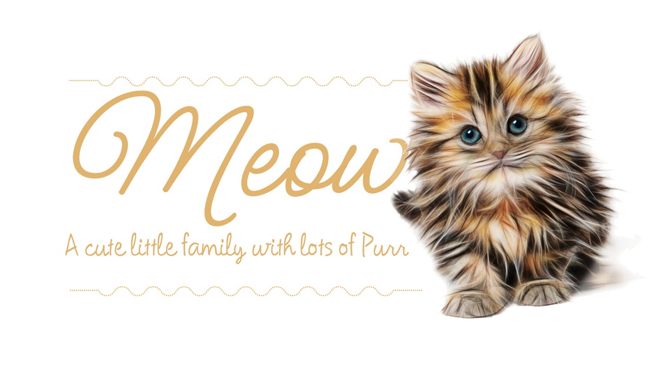 Fuente Meow Script