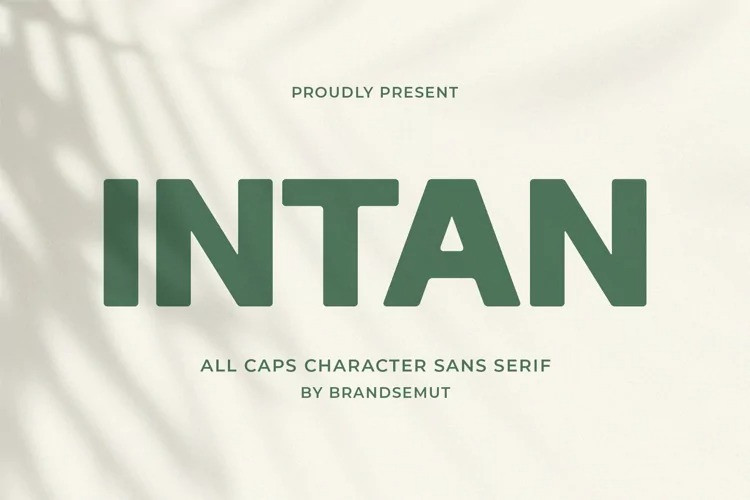 Fuente Intan