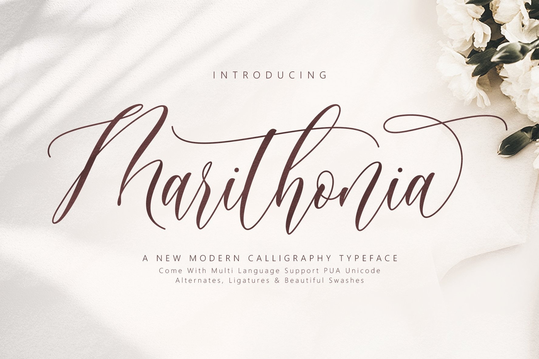 Fuente Marithonia Script